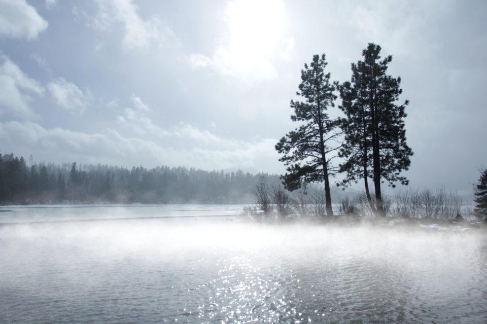Mist rising off still water at dawn with a single tree on the bank